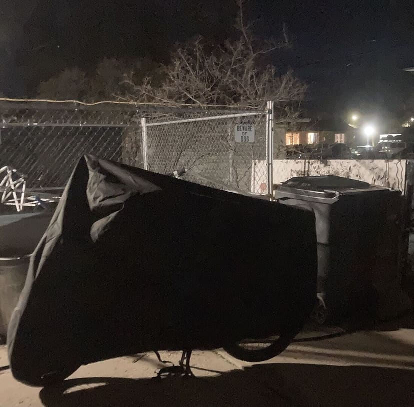 Susan T.'s vehicle under its cover, from their review.