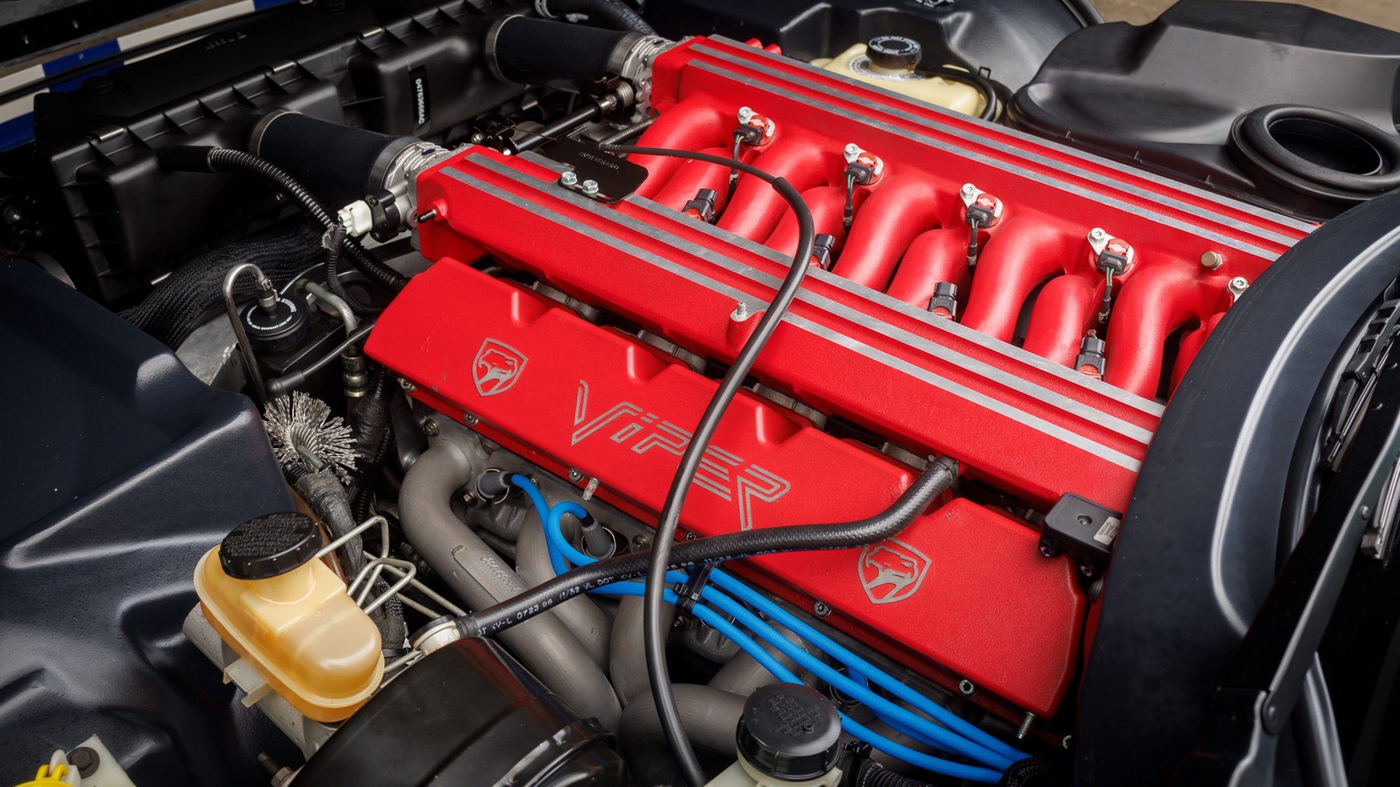 Close-up of a Dodge Viper V10 under the hood, with red covers bearing the Viper name and snake logo, red intake runners above them and blue spark plug wires below.