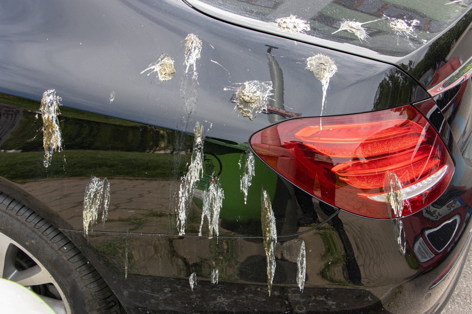 Fresh bird droppings streaked down the glossy black rear panel and taillight of a parked car