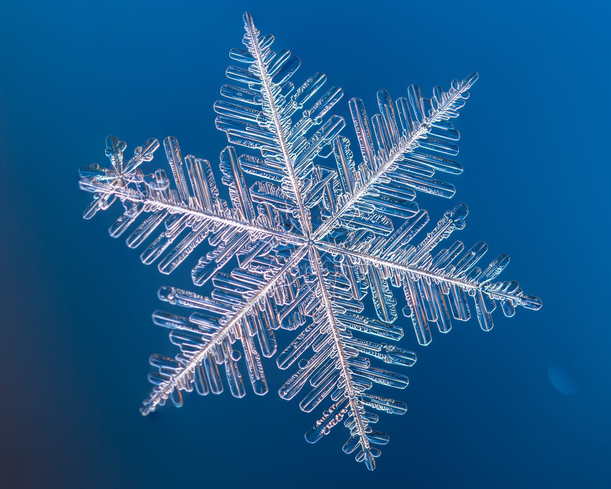An extreme close-up of a single snowflake's ice crystal structure against a deep blue background
